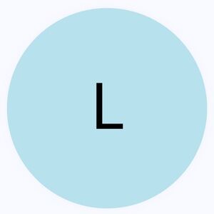 30 STICKERS - 2” ROUND - SIZE L LABELS